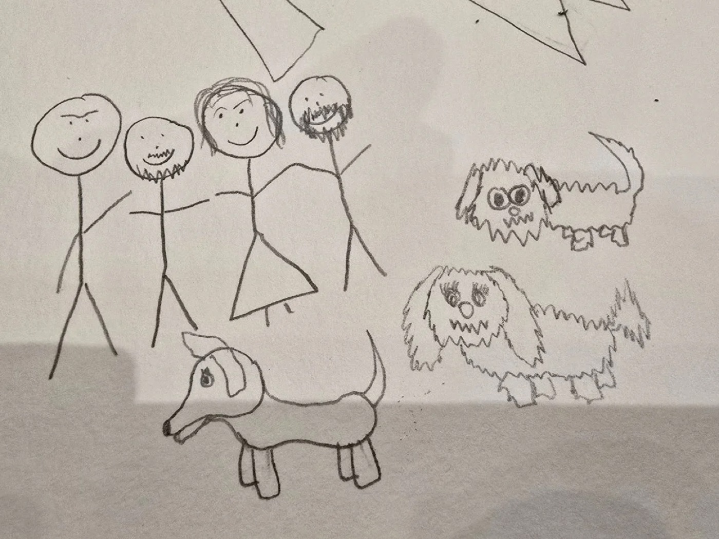 A pencil drawing of a family of four with their dogs.